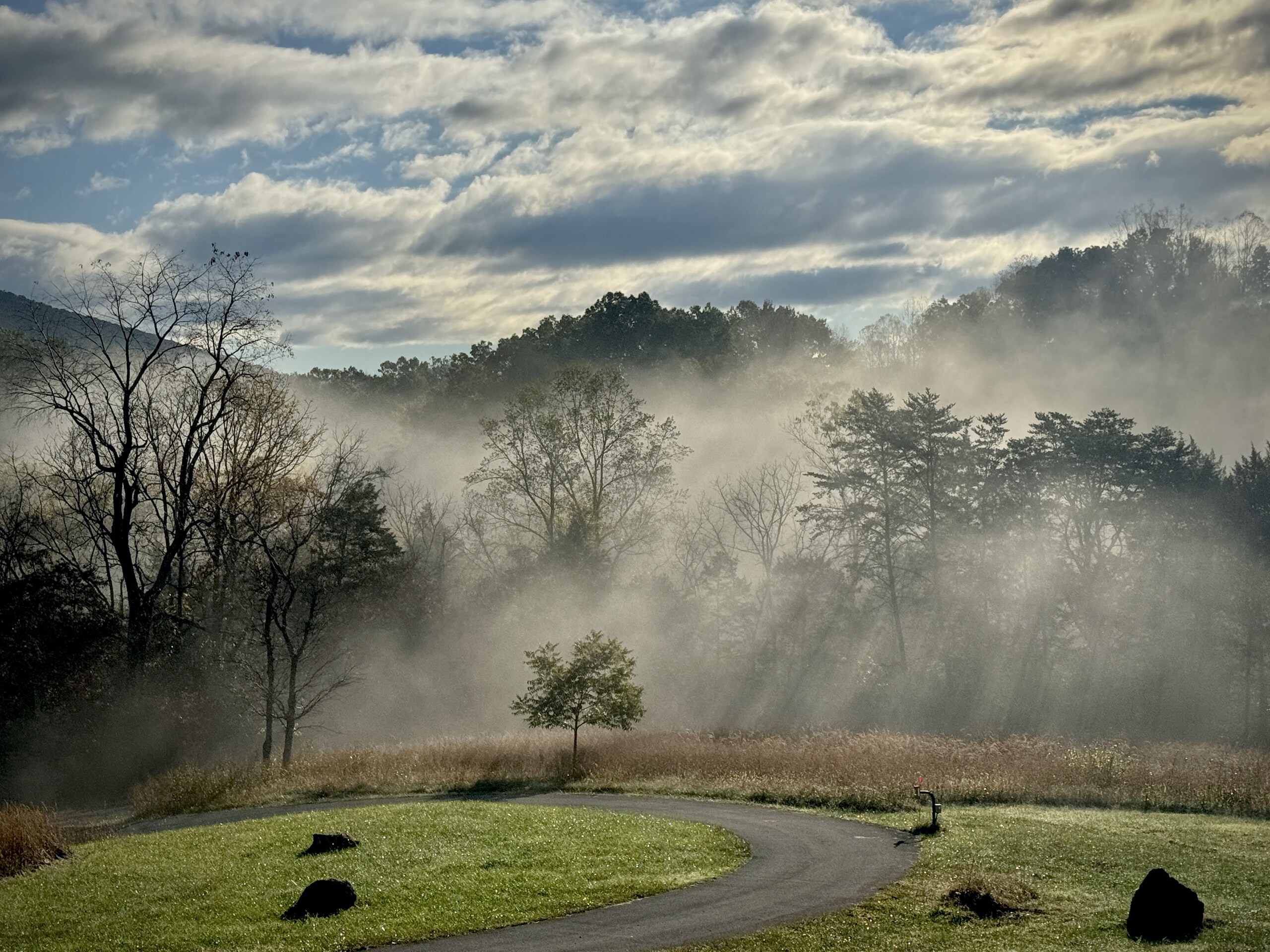 Morning mist and sunlight from the porch at Arroway Manor
