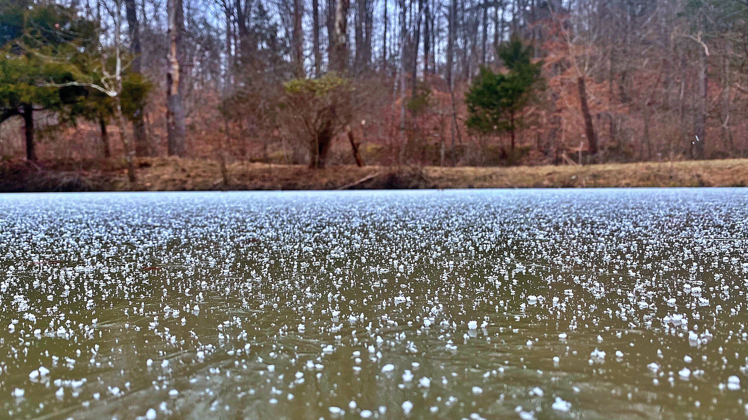 A sprinkling of snowflakes scattered across the frozen Willow Pond.