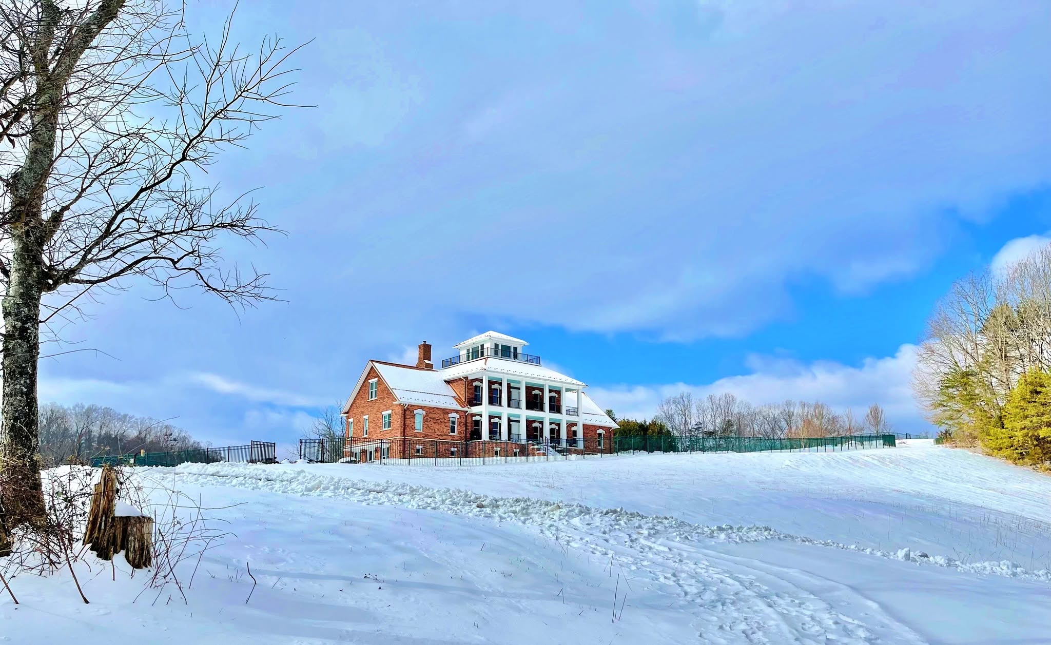 Blanketed in White