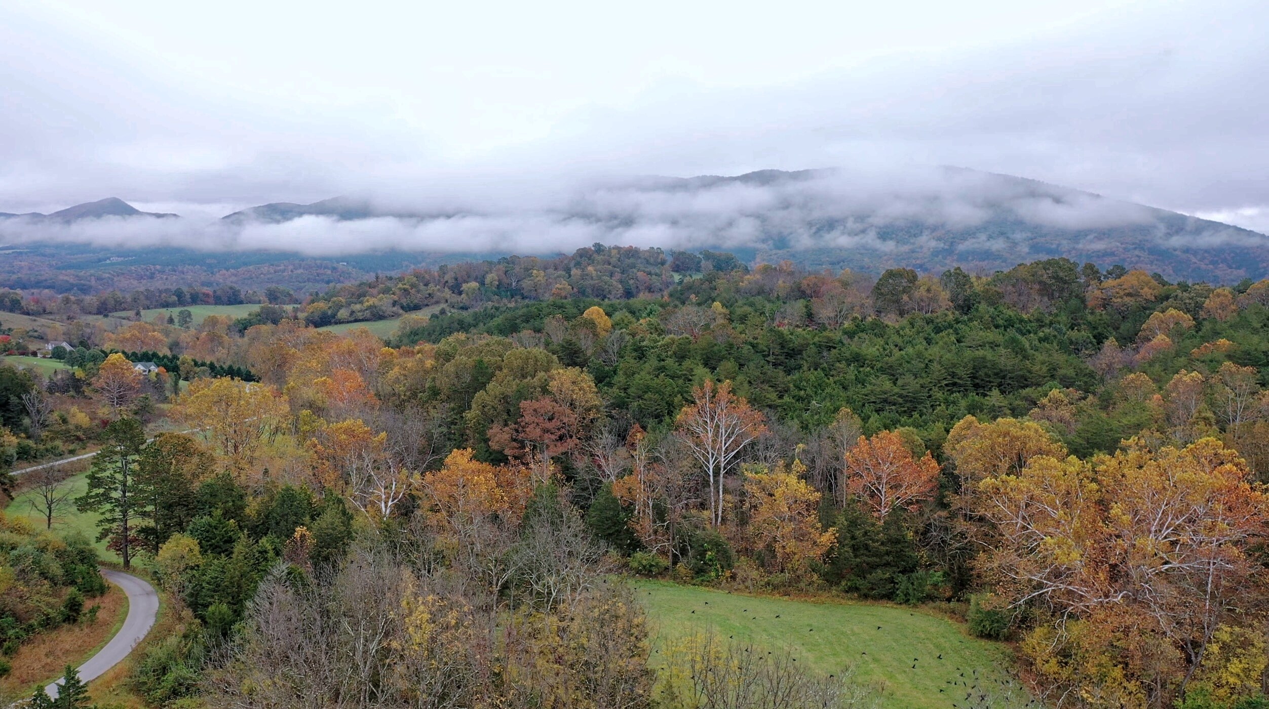 A glimpse of the landscape where Arroway Manor belongs.